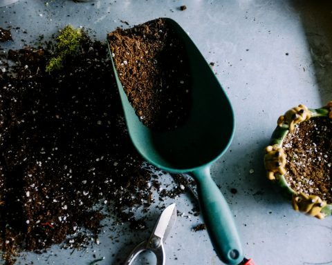 green metal garden shovel filled with brown soil